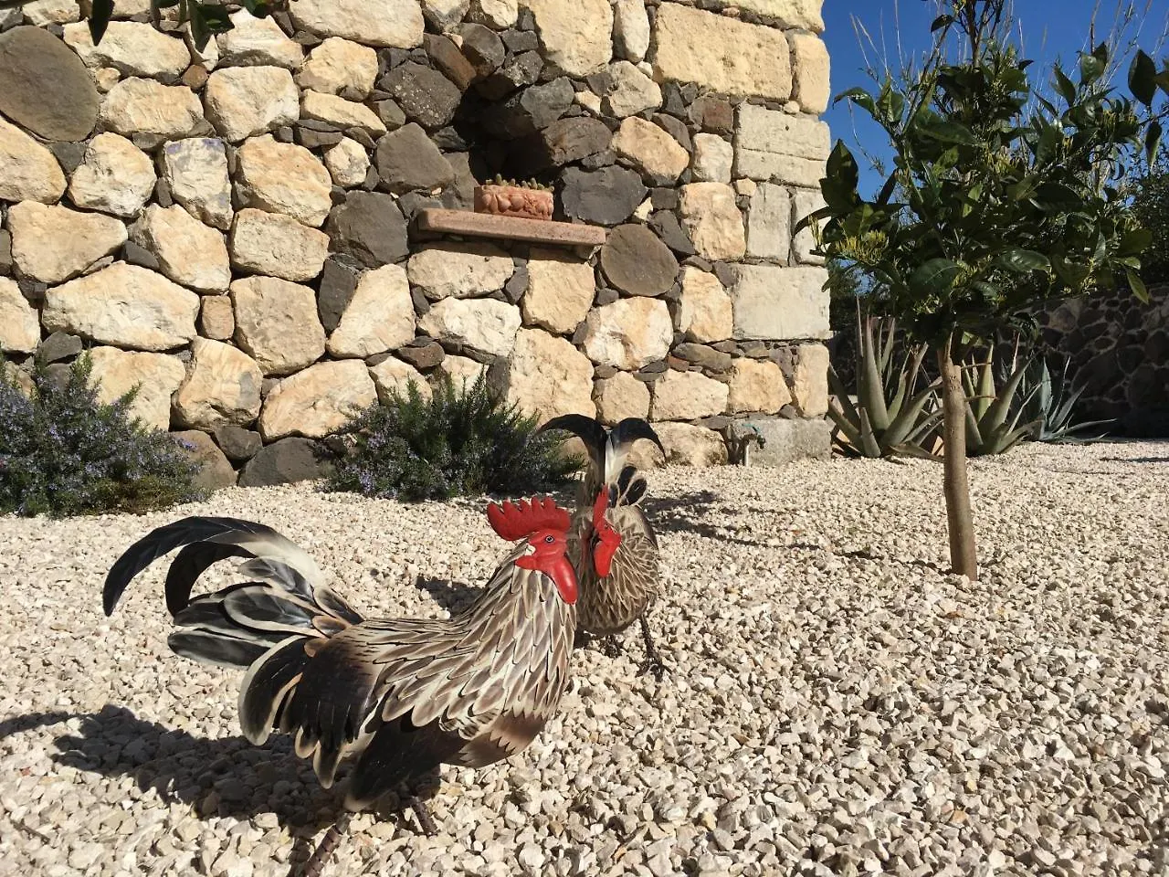 Hotel La Petite Maison Tresnuraghes